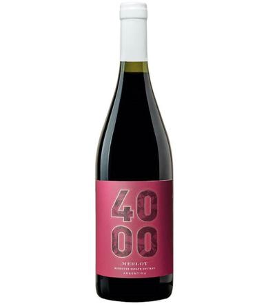 Budeguer 4000 Reserva Merlot 6x750cc.