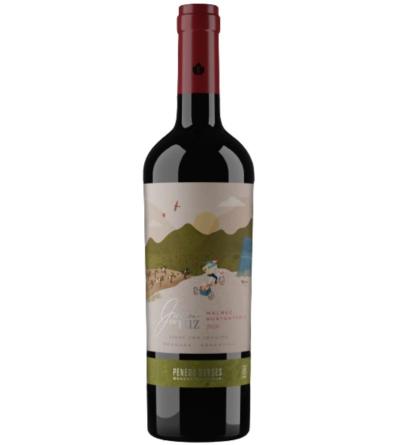 Penedo Borges Juan De Luz Malbec Orgnico 6x750cc.